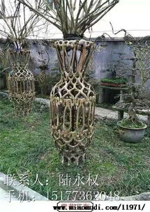 匠心打造自然藝術 桂林中國紅紫薇苗木有限責任公司精品紫薇造型花瓶苗木